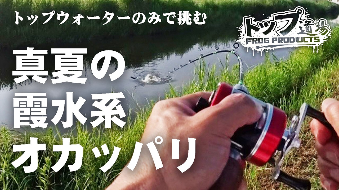 真夏の霞水系オカッパリにトップのみで挑む！