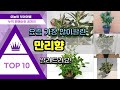 만리향 추천 판매순위 Top10 가격 평점 후기 비교 만리향 추천 판매순위 Top10 가격 평점 후기 비교