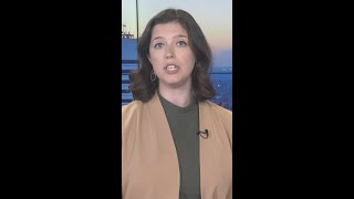 Full SNAP benefits return for South Carolina families after shutdown ends