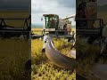 😂 So Funny! White Eel Hit on Tractor😭