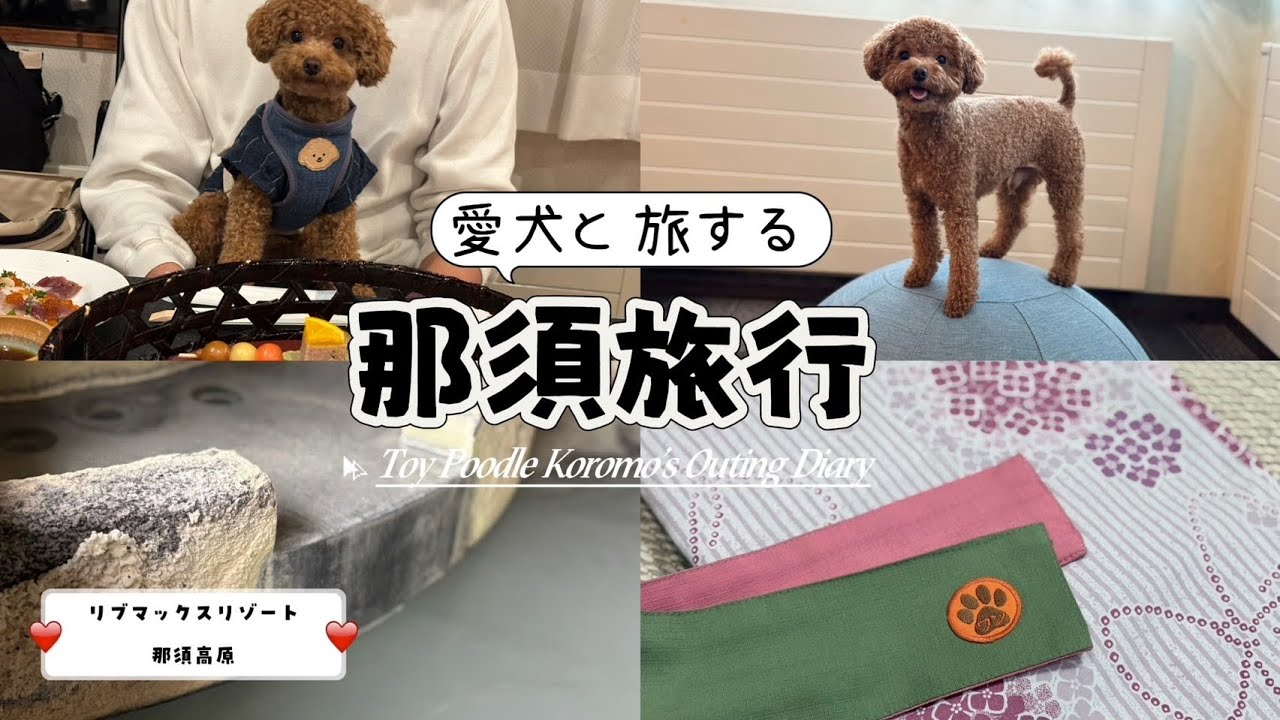 【犬連れ旅行】コスパ最強！リブランドオープンのリブマックスリゾート那須高原！愛犬と一緒に貸し切り温泉♨️