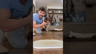 Part 1 Of Iveys Food Review