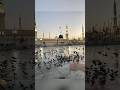 Tajdar-e-Haram Naat Shareef 🫀🥺.|| #naat #shorts #islamiccontent