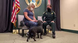 CCSO's new partnership - pet adoptions!