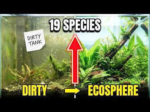 19 Fishes That Turn Your Fish Tank Into a Self-Sustaining Ecosystem