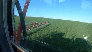 Good Crops & Not so Good Crops, Drought taking its Tole Again#farming #farm #agriculture