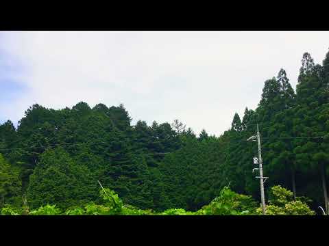 山清水秀    笛子
