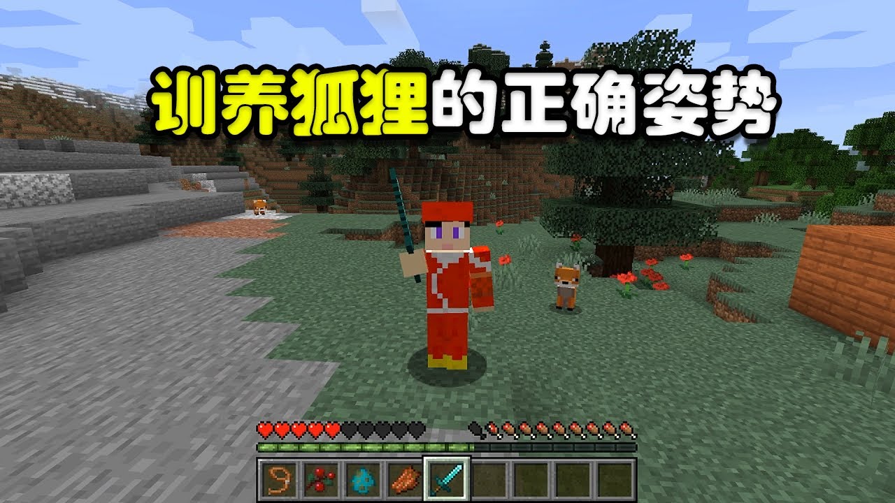 我的世界 如何馴養一隻可愛的小狐狸 快來讓狐狸信任你吧 藍少我的世界 Youtube 我的世界 如何馴養一隻可愛的小狐狸 快來讓狐狸信任你吧 藍少我的世界 Youtube