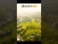 Dji Avata 2 🤩🥰#viralvideo #shorts