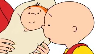 Caillou and the Baby | Caillou Cartoon