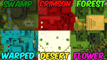 Minecraft, But Every CHUNK is a New Biome