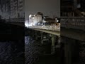 【鴨川】夏夜の鴨川 #shorts #京都 #鴨川