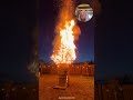 Massive Flames From an Old Christmas Tree #bonfire #fire #easter