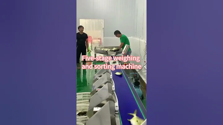 Five-Level Weight Sorting Machine | Automatic Weight Grading Solution