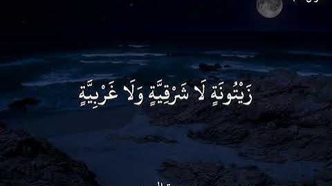 فارس عـباد(سورة النور)اللَّهُ نُورُ السَّمَاوَاتِ وَالْأَرْضِ