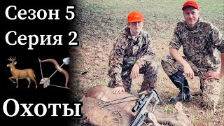 картинка: Наши успешные охоты на оленя с луком и арбалетом в этом сезоне