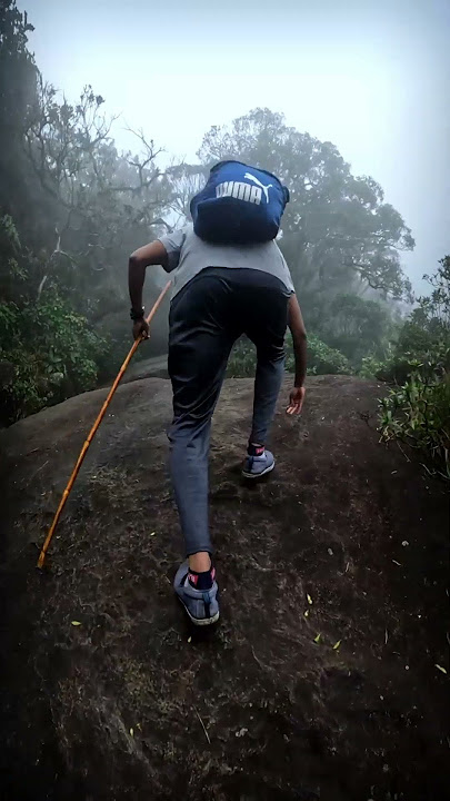 Agasthyarkoodam Trekking | Agastya Mala |  #nature #travel #trending
