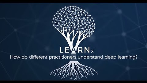 LEARN000 How do different practitioners understand deep learning