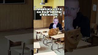 А Вам Понравилось, Как Спел Кот? 😂🤘 #Mellstroy #Glavstroy #Коты #Разговорыоважном