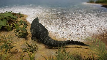 Environment Interaction using Crest & TVE with the Malbers Crocodile