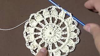 CARPETA O PAÑO A CROCHET ( MUY FACIL)