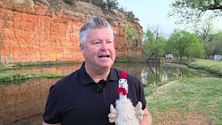 JP Morgan Warns The Stock Market Is Just A Bounce Away From Falling 