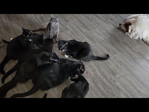 ผลสลากกินแบ่งรัฐบาล วันที่ 1 พย. 2567