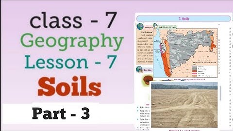 Class 7 | Geography | Lesson 7 | Soils | Explanation ( Part - 3 ) | Mh Board.