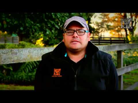 HARAS DON ALBERTO... UN GRAN EQUIPO camera iphone 8 plus apk