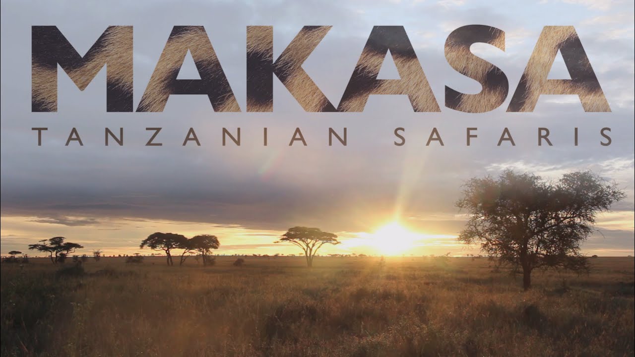 makasa safari tours