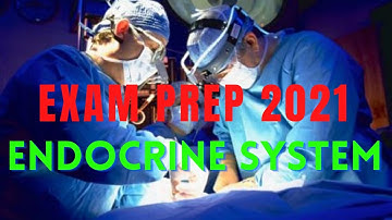 CPC, COC, CCS, CCS-P EXAM PREP - ENDOCRINE SYSTEM