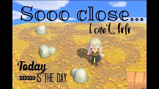 Soo CLOSE!!! it's F-day frenns - Interior 2  || Live Stream || ACNH || TrikRTreat halloween island