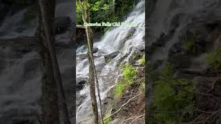 Catawba Falls Old Fort, North Carolina