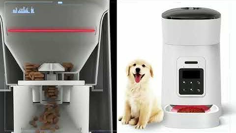 Automatic Pet Feeder Petrust PP002