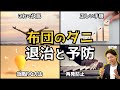 【布団のダニ対策】退治から二度と発生させない方法まで
