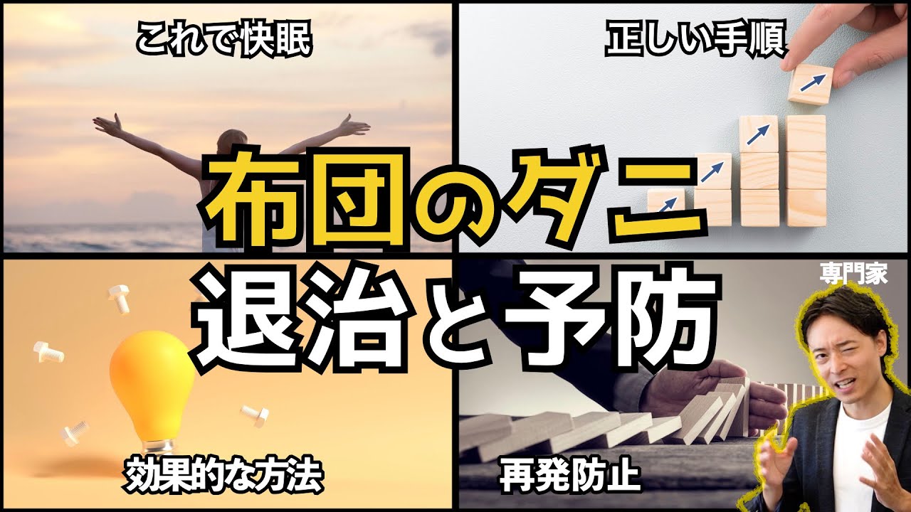 布団 ダニ 退治