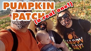 Our REAL Pumpkin patch adventure and wagon ride at Tanaka Farms