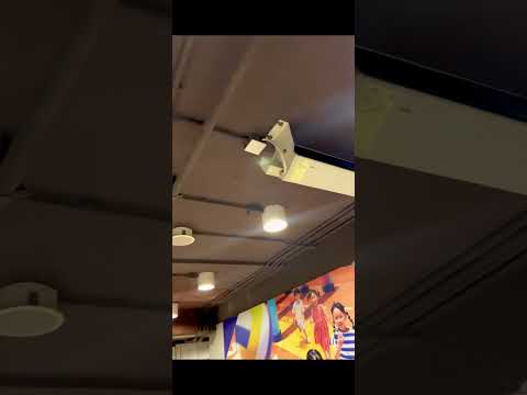 Various fans at a mall in Sha Tin, Hong Kong
