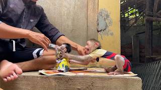 Heart Att Dad Is Feeding Milk To Baby Monee Then Impatient Minea Anqry