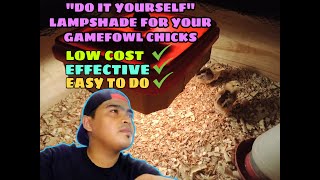 Pasado Ba? Lamp Shade Para Sa Sisiw Diy Lamp Shade Brooder Light For Simple Backyard Breeders