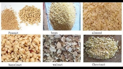 Hazelnut|Peanut|Nucule|Walnut Particle Chopper Machine Test Video From Cara@machinehall.com