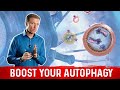 12 Ways to Trigger Autophagy