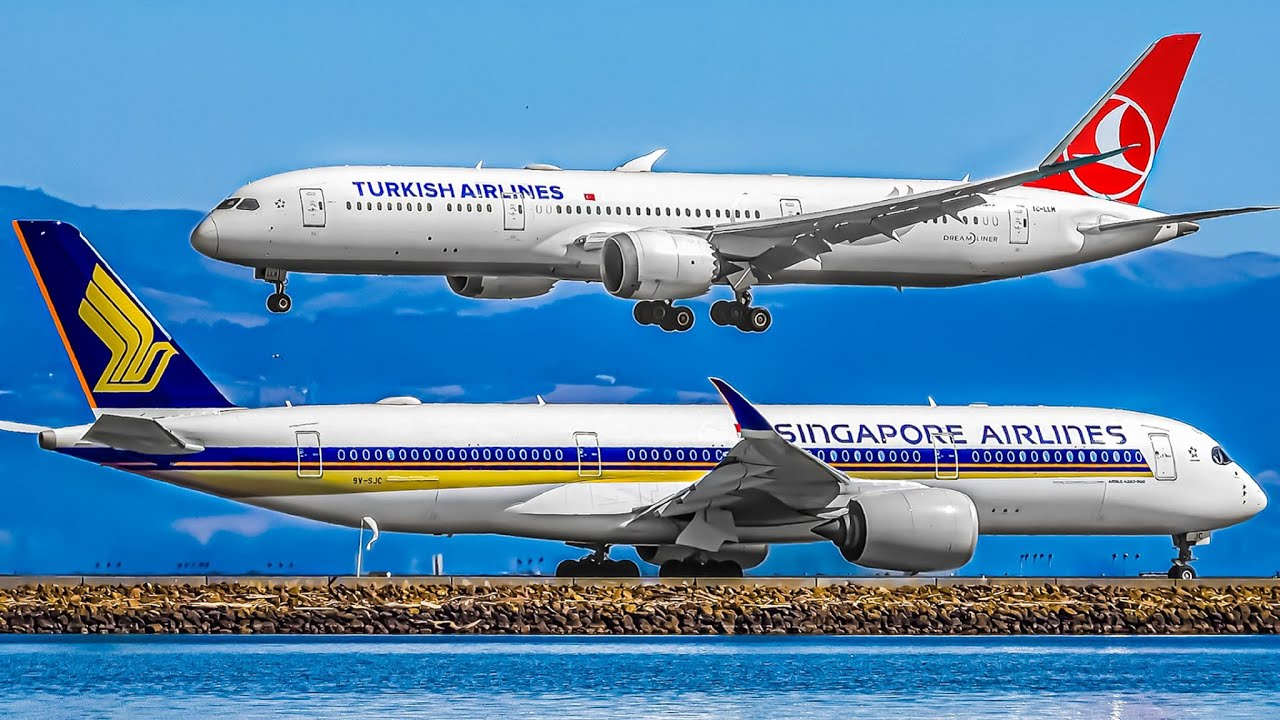 🇺🇸 100 PLANES in 1 HOUR ! San Francisco Airport Plane Spotting + Aircraft Identification [SFO/KSFO]