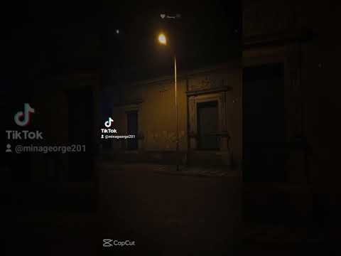 ٣ سبتمبر ٢٠٢٤