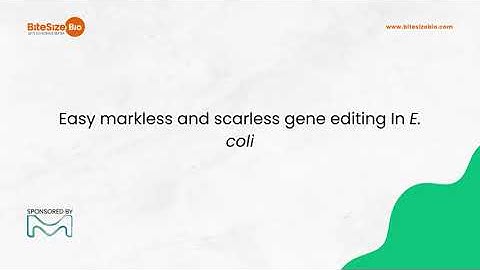 Easy markless and scarless gene editing In E. coli