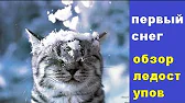 КАРТАВИЙ ALEX