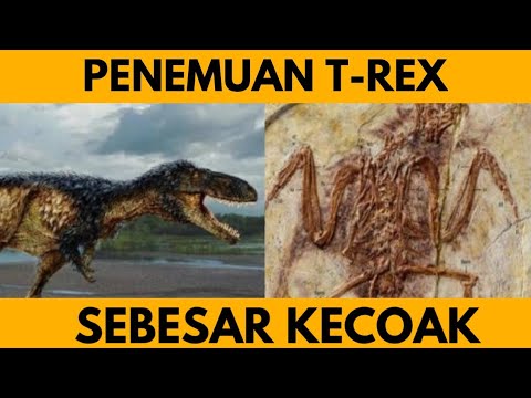 Video: Ilmuwan Telah Menemukan Spesies Baru Miniatur Dinosaurus Bersayap - Pandangan Alternatif