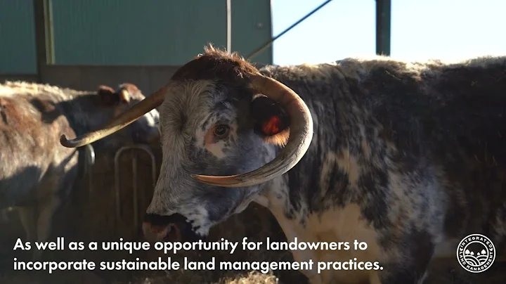 Biodiversity Net Gain (BNG) with Integrated Land Management (ILM)