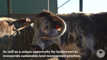 Biodiversity Net Gain (BNG) with Integrated Land Management (ILM)