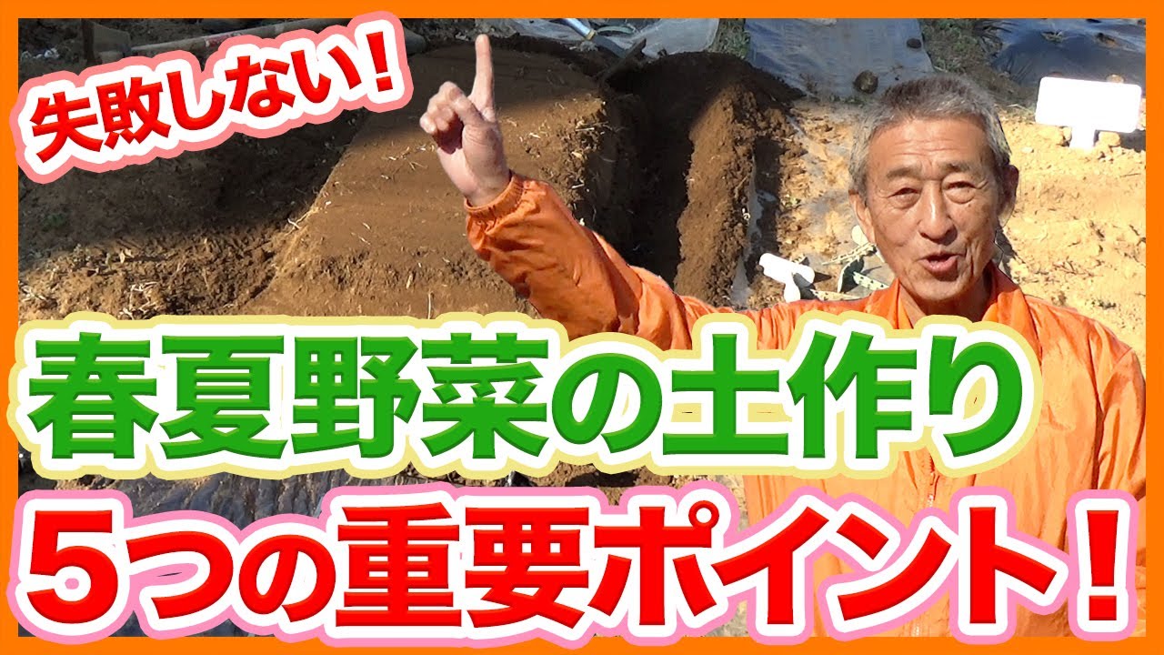 中古】 畑を借りて野菜を作ろう 市民農園ライフ/日経BP企画/藤田